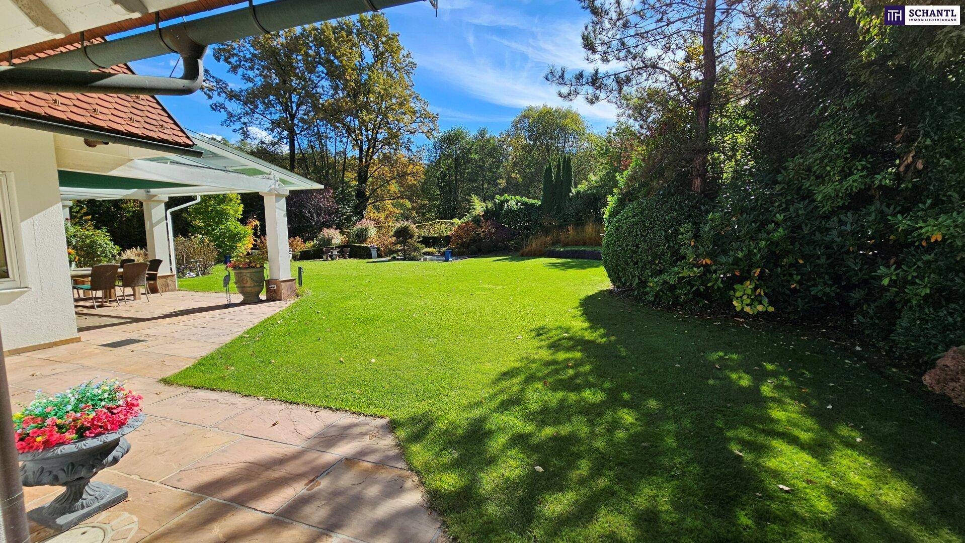 Weitläufiger Rasenbereich mit sonniger Terrasse und üppiger Bepflanzung unter blauem Himmel.