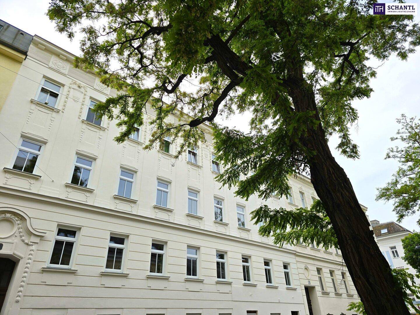 Klassische Fassade eines Altbaus mit vielen Fenstern und grünen Bäumen im Vordergrund.