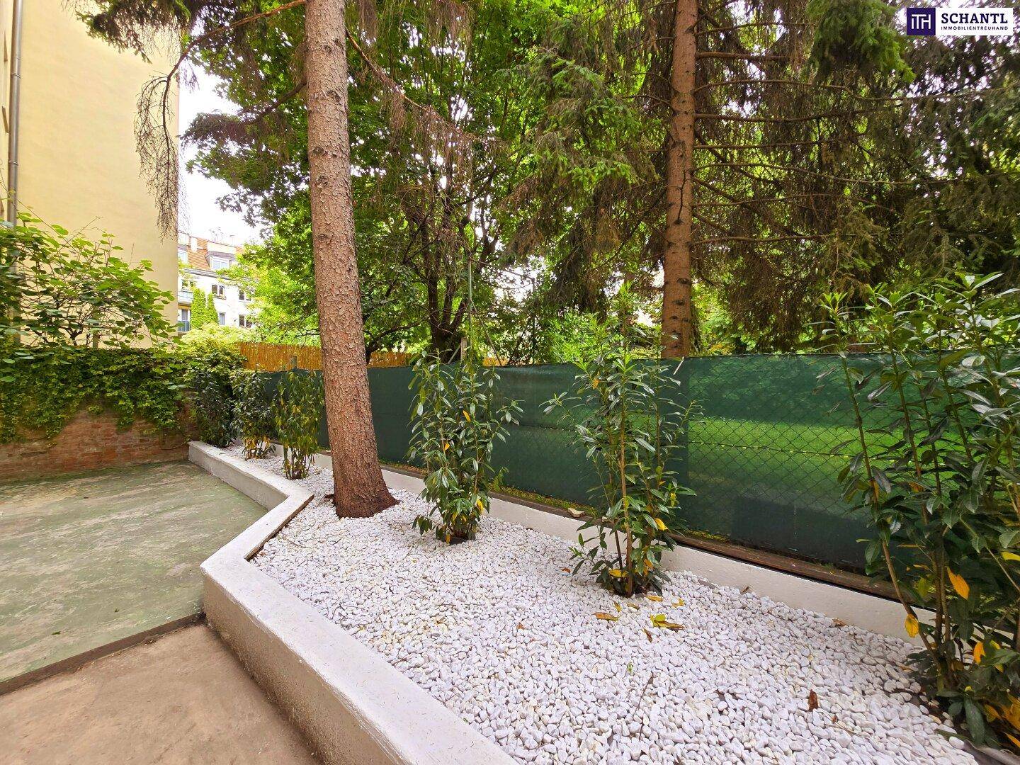 Gepflegter Gartenbereich mit weißen Zierkieseln und hohen Bäumen, ideal zum Entspannen.