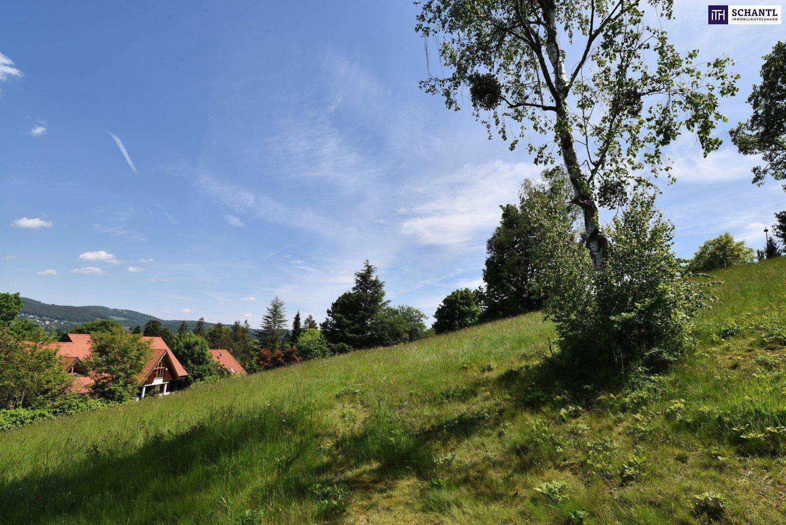 Exklusiver Baugrund in Bestlage von Graz-St. Veit! Ruhig gelegen, mitten im Grünen und mit sensationeller Aussicht. Gleich anfragen - Ansicht 4