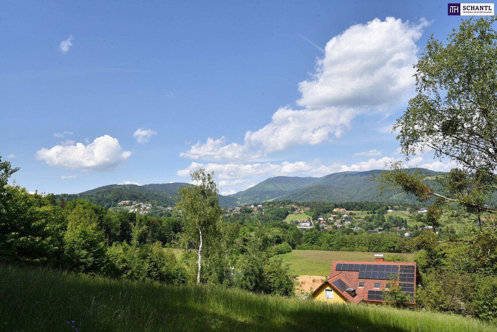 Weitläufige grüne Landschaft mit Häusern, Solaranlagen und Bergen unter blauem Himmel.