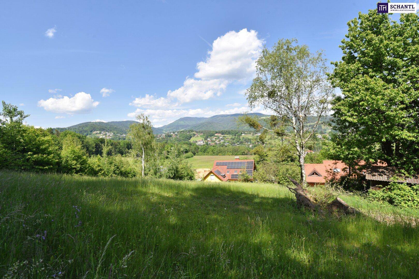 Sonnige grüne Wiese mit Bäumen und Häusern, die sich in die hügelige Landschaft einfügen.