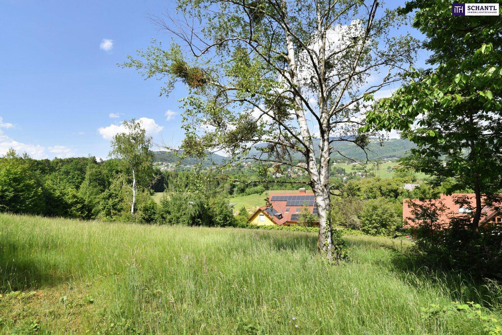 Grüne Wiese mit Bäumen und einem Blick auf Häuser und die umliegende Berglandschaft.