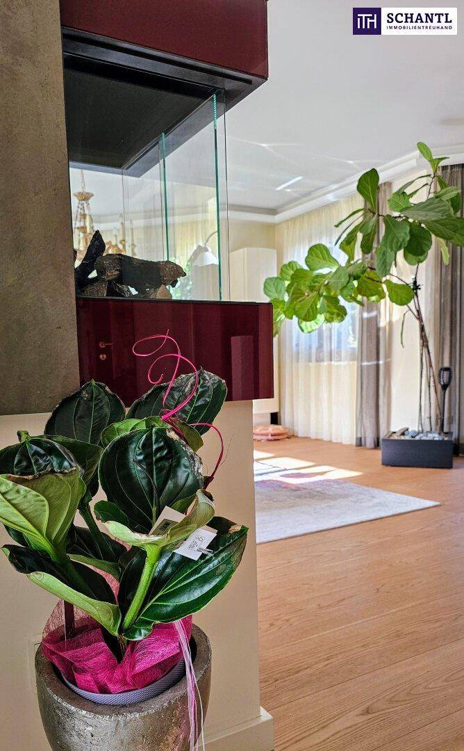Helles Wohnzimmer mit Holzboden, großen Pflanzen und indirekter Beleuchtung.