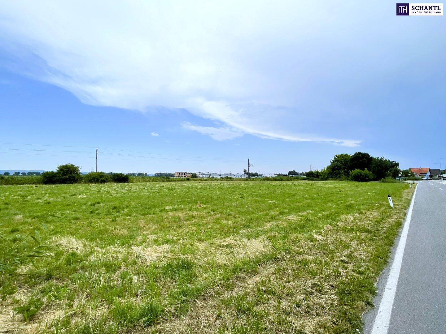 Offenes grünes Feld neben einer Landstraße mit einigen Häusern und Bäumen am Horizont.