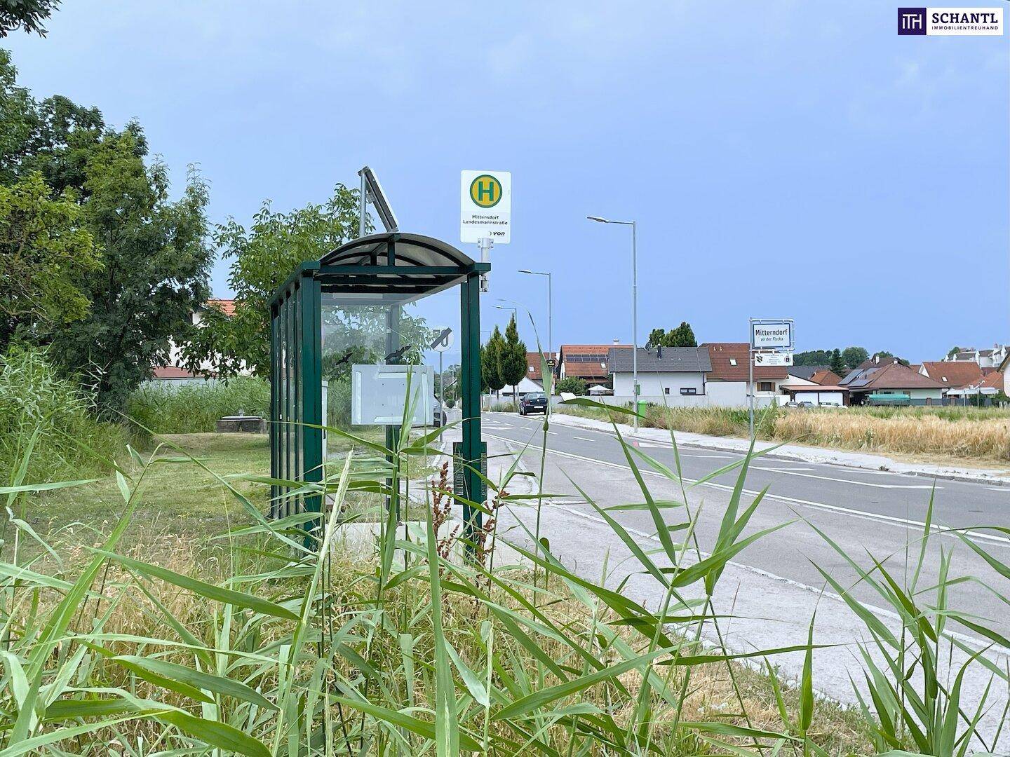 Eine Bushaltestelle am Straßenrand, umgeben von hohem Gras, mit Wohnhäusern im Hintergrund.