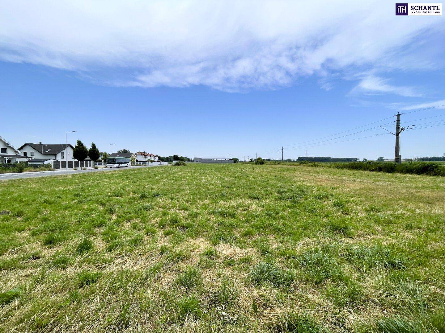 Großes grünes Feld mit einer Straße und Wohngebäuden auf der linken Seite sowie Strommasten in der Ferne.