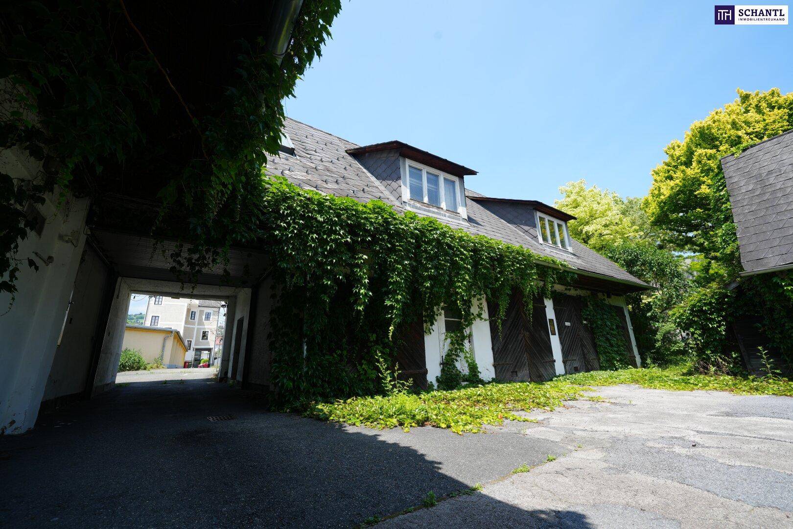 Altes Gebäude mit Efeu bewachsenen Wänden und einem Durchgang zu einem Innenhof, strahlt historischen Charme aus.