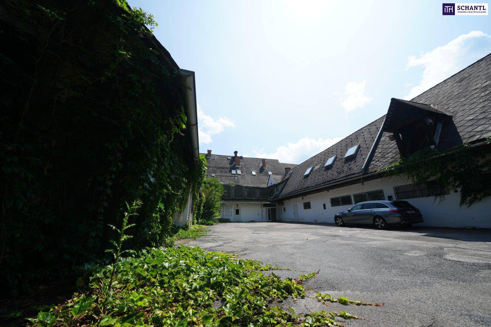 Großer Innenhof mit Parkmöglichkeiten und alten Gebäuden, teilweise mit Efeu bewachsen, benötigt Sanierung.