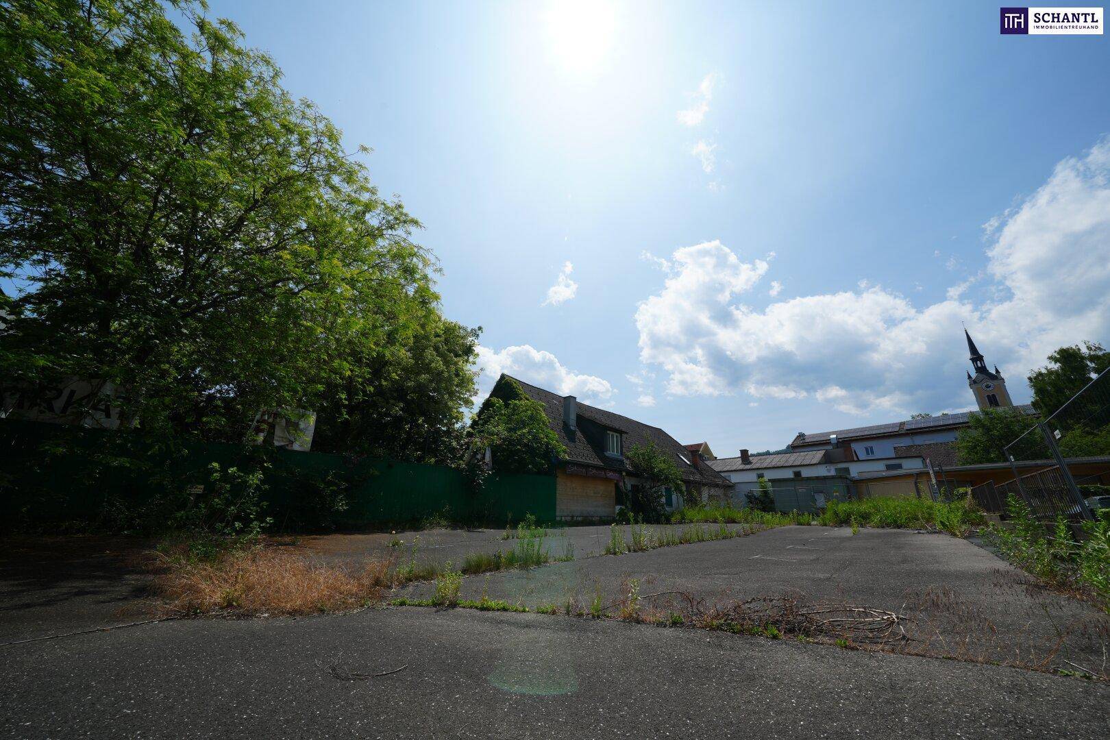 Weitläufiges Außengelände mit altem Baumbestand und einem Gebäude im Hintergrund unter blauem Himmel, bietet viel Platz.
