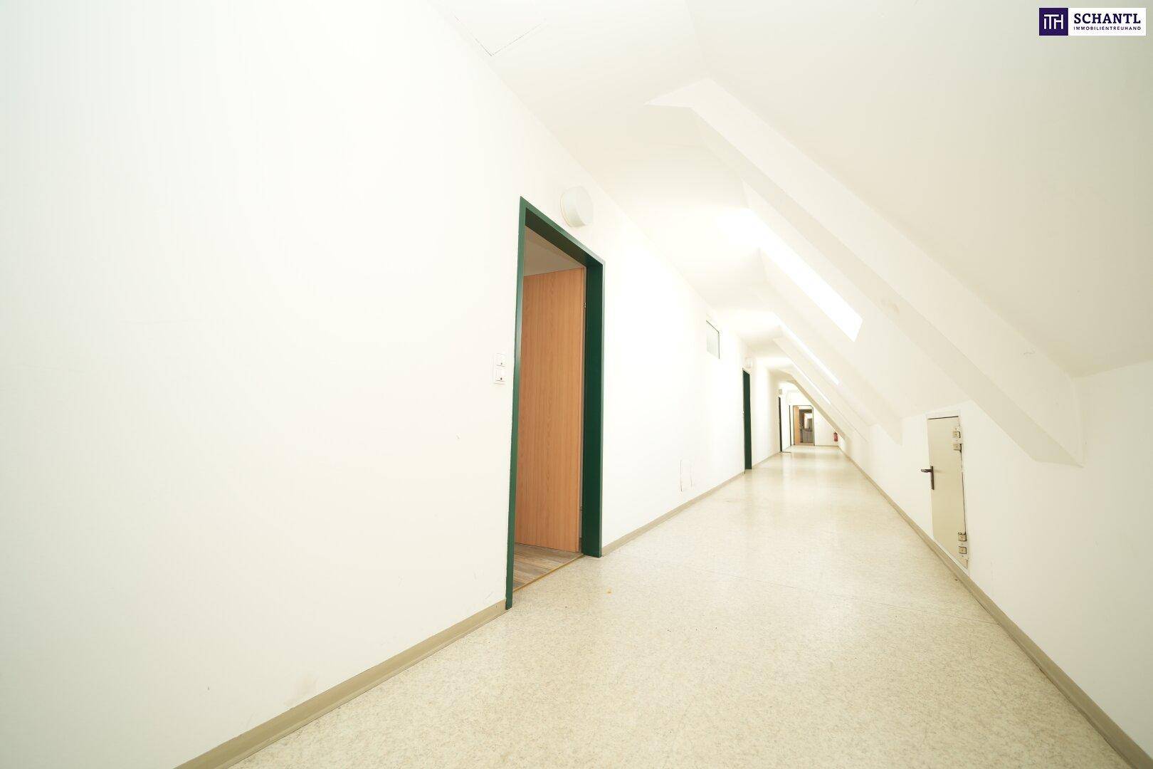 Langer, heller Flur mit Dachschrägen und mehreren Türen, der zu den einzelnen Wohnungen führt, gut beleuchtet.
