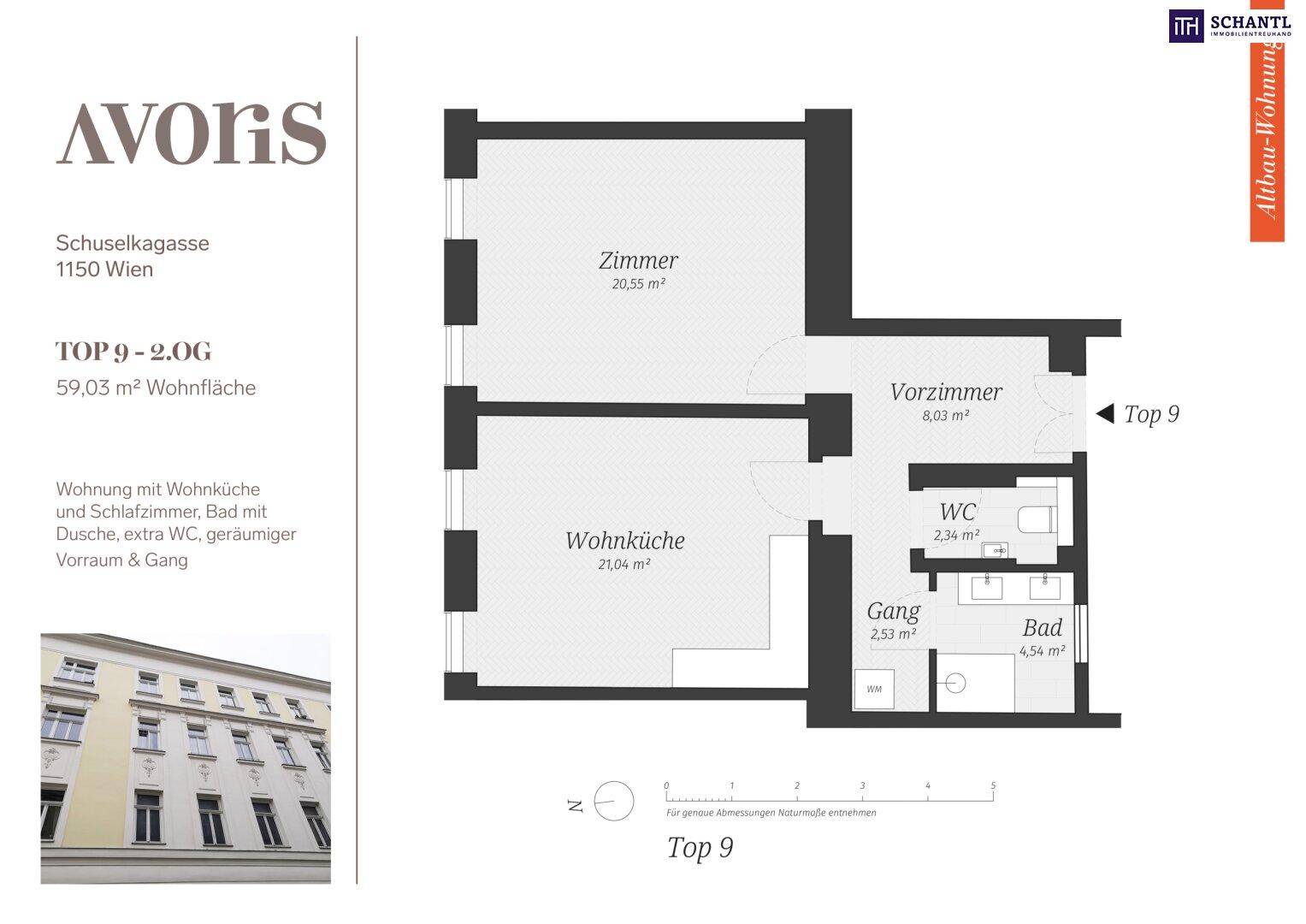 Grundriss einer Wohnung mit Wohnküche, Zimmer, Vorzimmer, Bad und separatem WC auf 59,03 m².