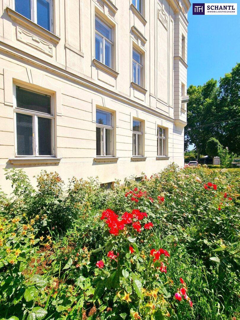 Detailansicht der Gebäudefassade mit Fenstern und blühenden Rosensträuchern im Vorgarten.