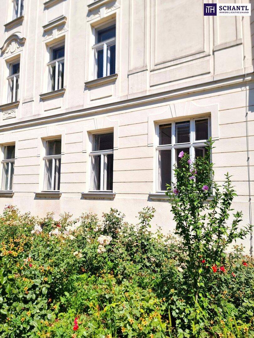 Detailansicht der Gebäudefassade mit Fenstern und blühenden Sträuchern im Vorgarten.