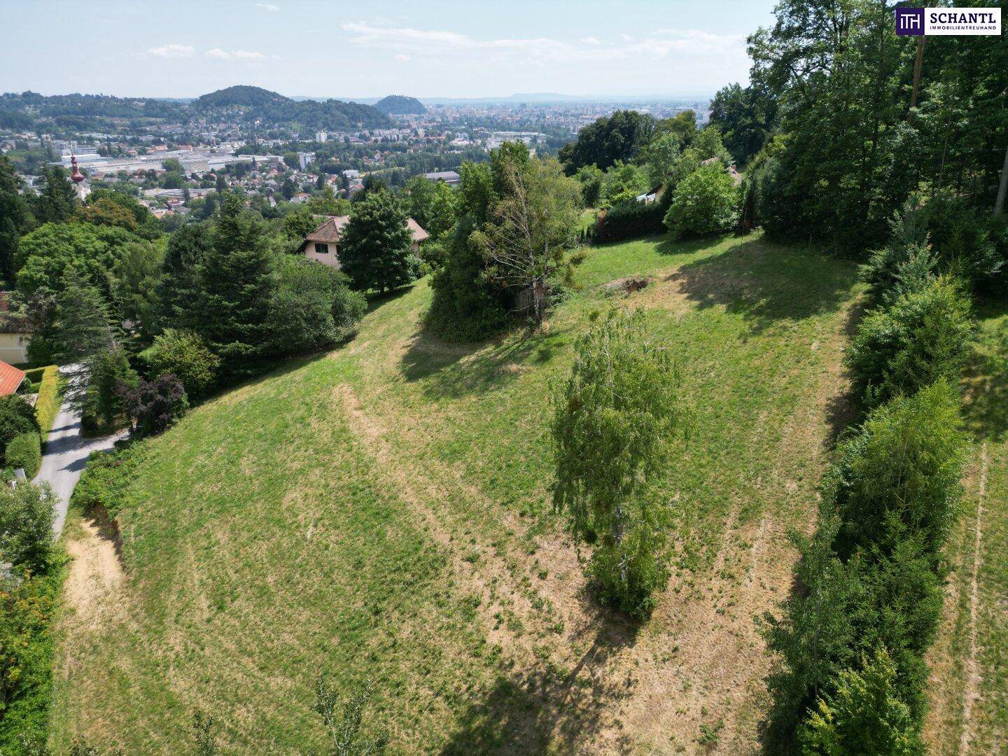 Großes, sonniges Grundstück am Hang mit weitem Blick über die Stadt und die umliegende grüne Landschaft.
