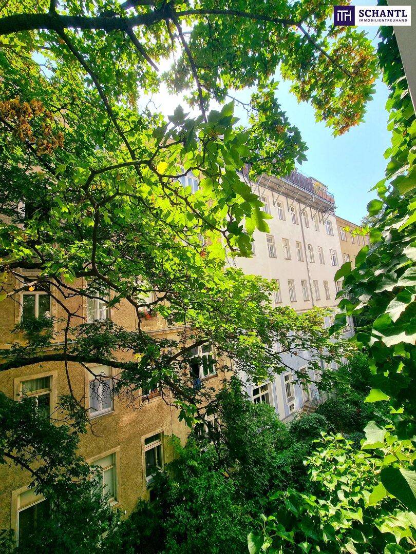 Blick aus dem Fenster auf einen grünen Innenhof mit Bäumen und umliegenden Gebäuden bei Sonnenschein.