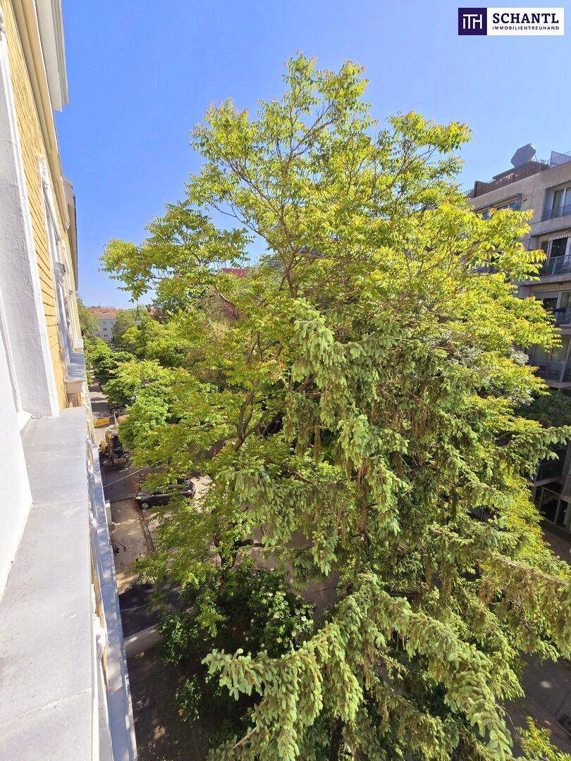 Blick von einem Balkon auf eine von Bäumen gesäumte Straße und gegenüberliegende Gebäude unter blauem Himmel.