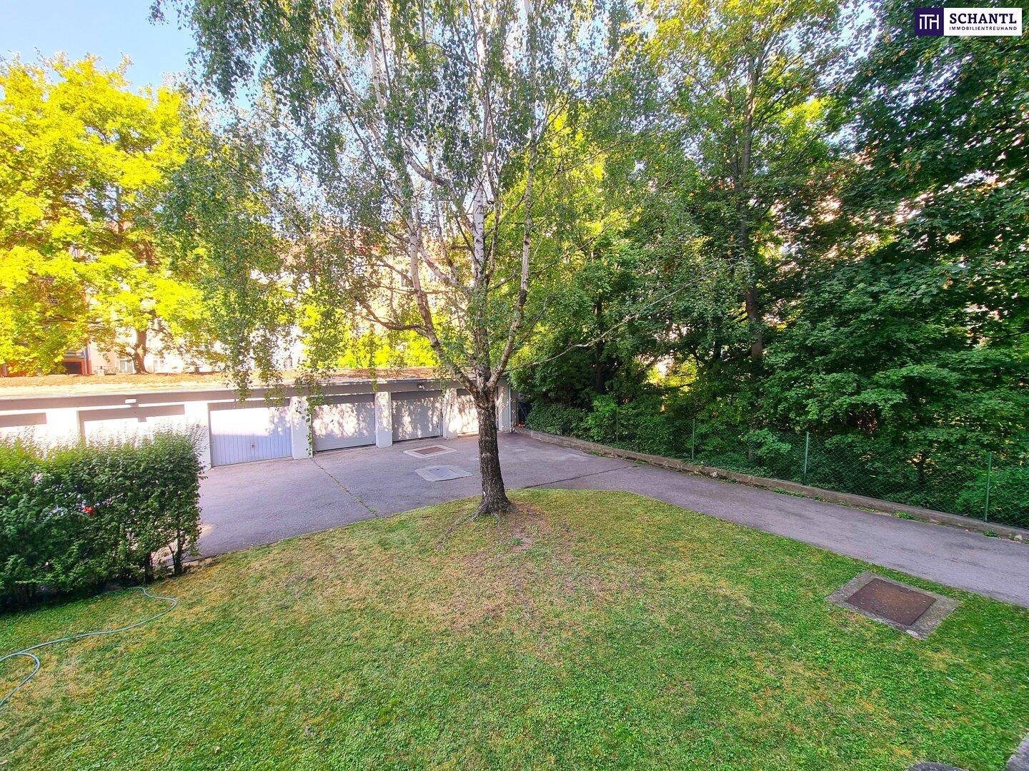 Grüne Außenanlage mit Garagenreihe und Bäumen im Hintergrund, bietet Parkmöglichkeiten.