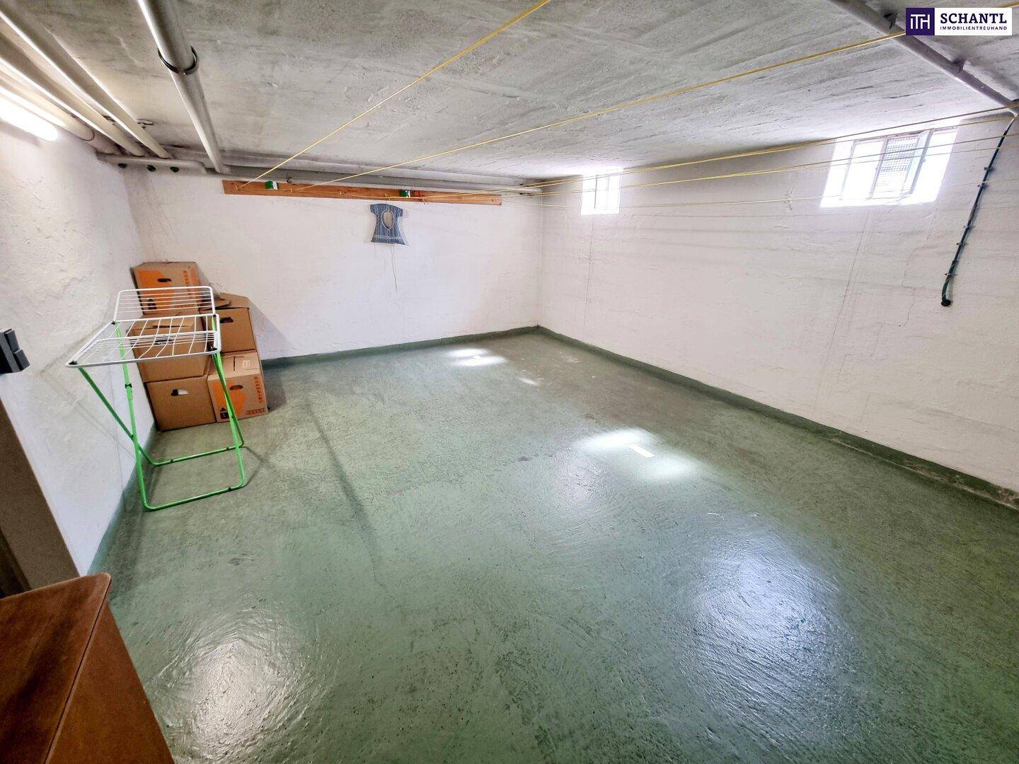 Geräumiger Kellerraum mit Betonboden, kleinen Fenstern und sichtbaren Leitungen, ideal als Abstellfläche.