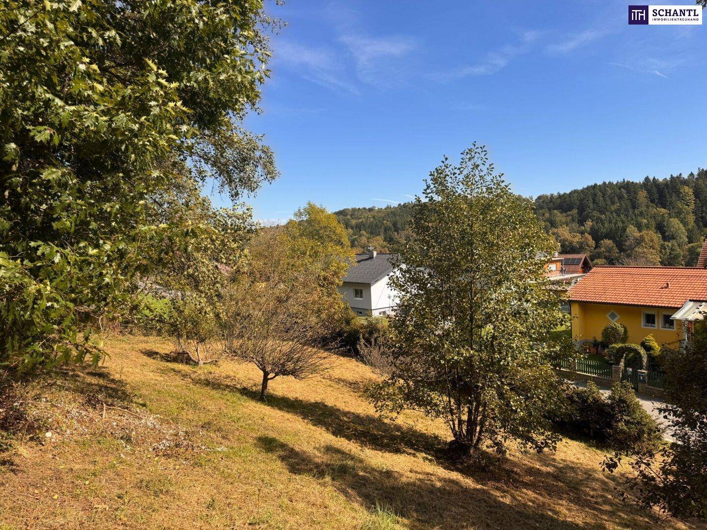 Sonniges Grundstück mit Bäumen und Blick auf umliegende Häuser und bewaldete Hügel.