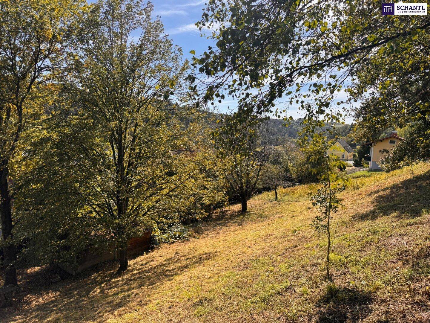 Sonniges, leicht abfallendes Grundstück mit Bäumen und Blick auf die umliegende Bebauung.