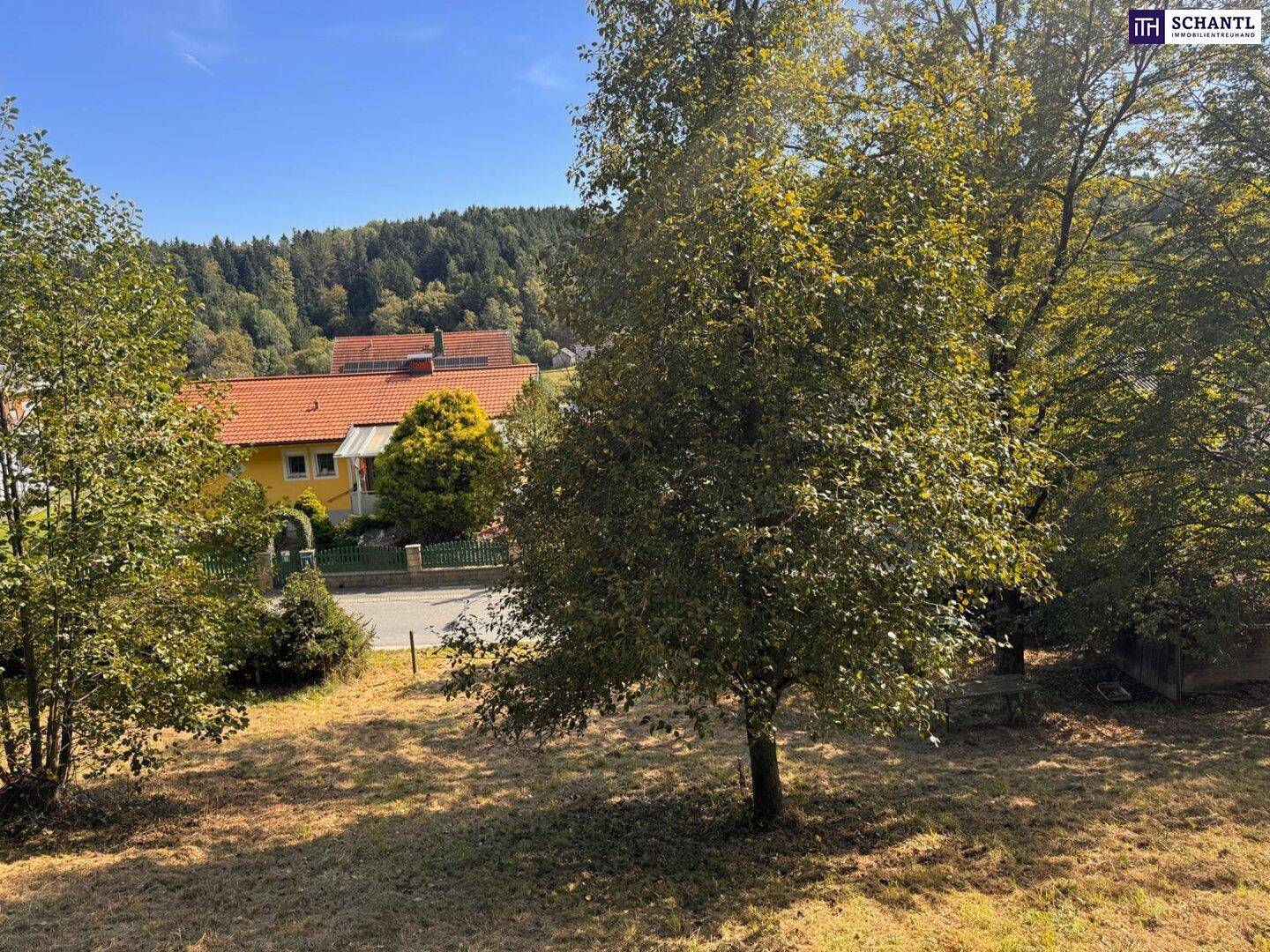 Sonniges Grundstück mit Bäumen und Blick auf eine Straße und Häuser mit roten Dächern.