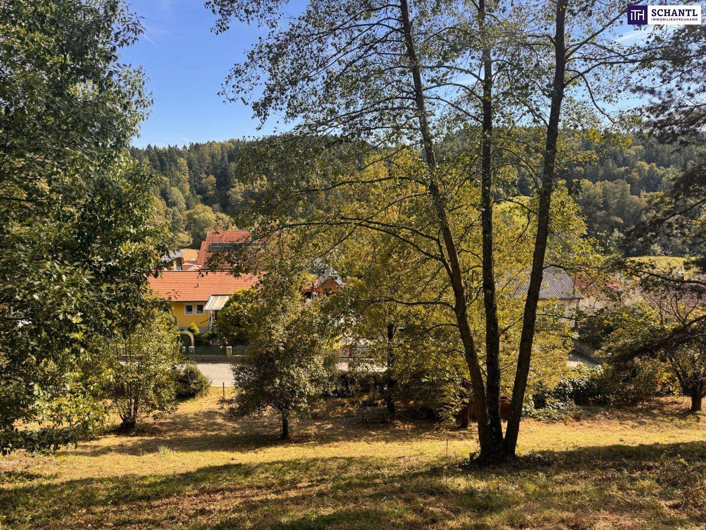 Sonniger Ausblick über Bäume auf eine bewaldete Hügellandschaft und entfernte Häuser.
