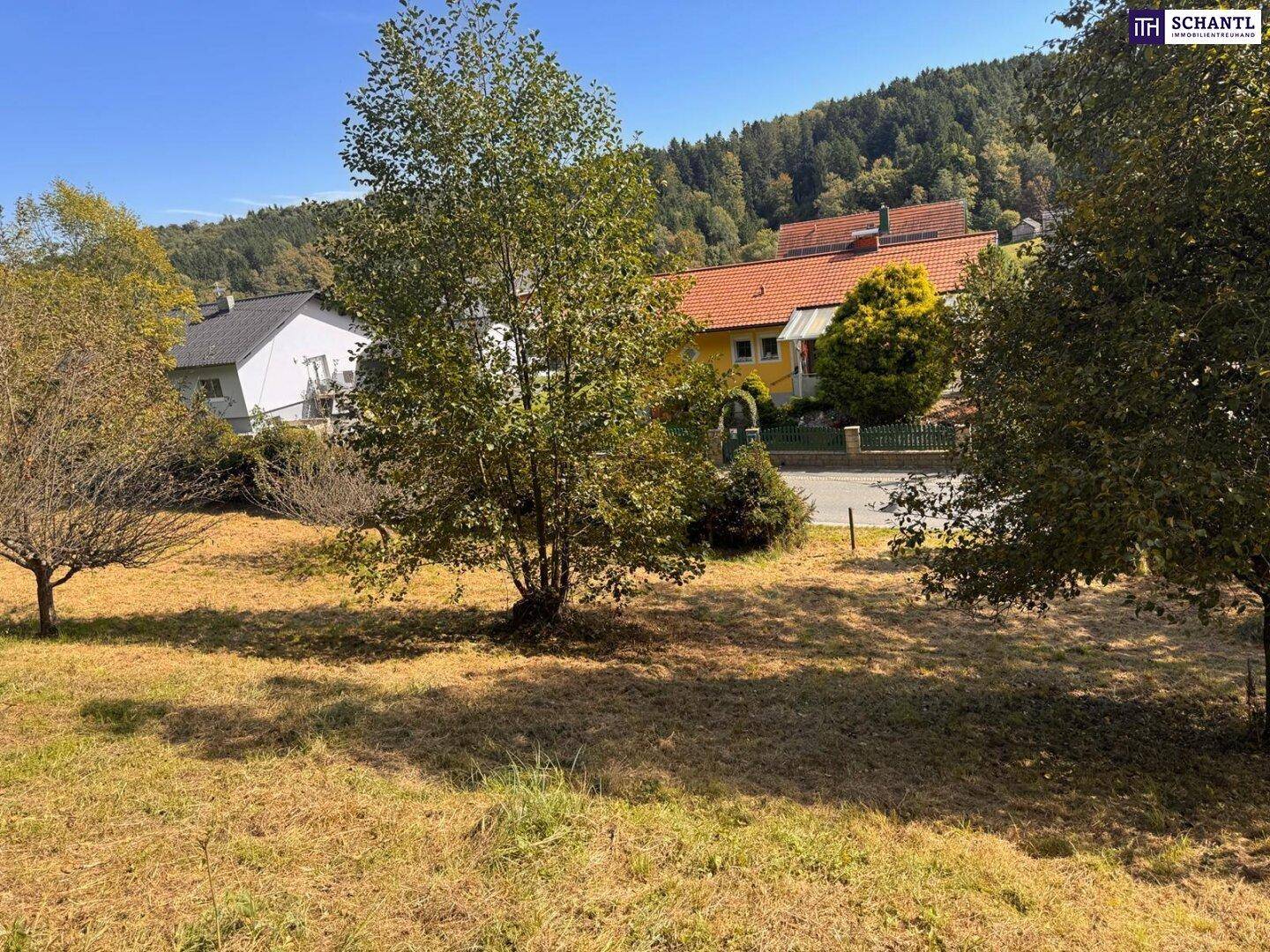Sonniges Grundstück mit Bäumen und Blick auf eine Straße und Häuser mit roten Dächern.