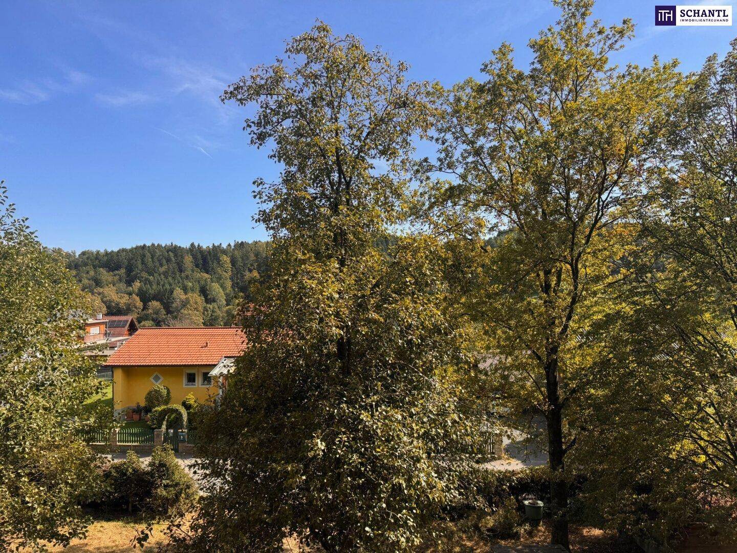 Sonniger Ausblick über Bäume auf eine bewaldete Hügellandschaft und entfernte Häuser.
