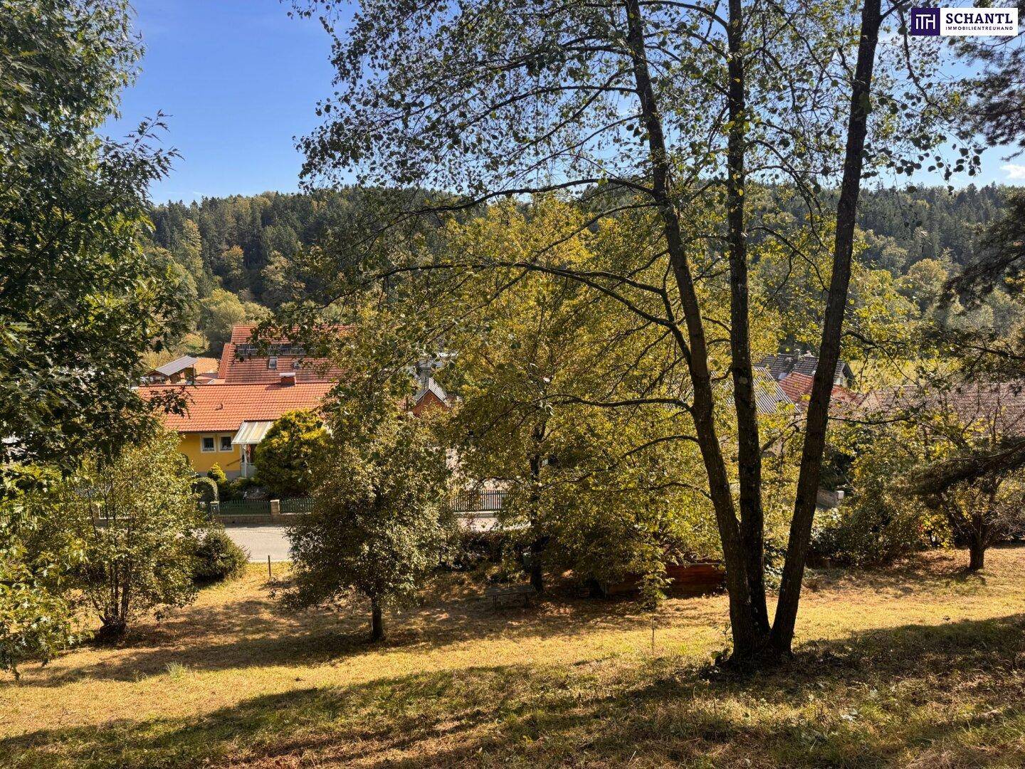 Blick durch Bäume auf eine Straße und Häuser in einer grünen, hügeligen Landschaft.