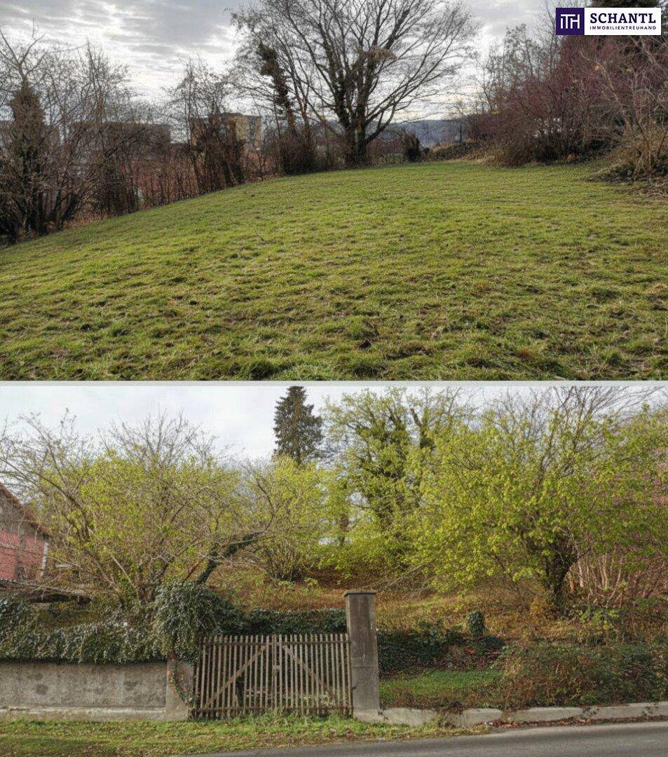Zwei Ansichten des Grundstücks mit einer grünen Wiese und einem Zaun am unteren Rand.