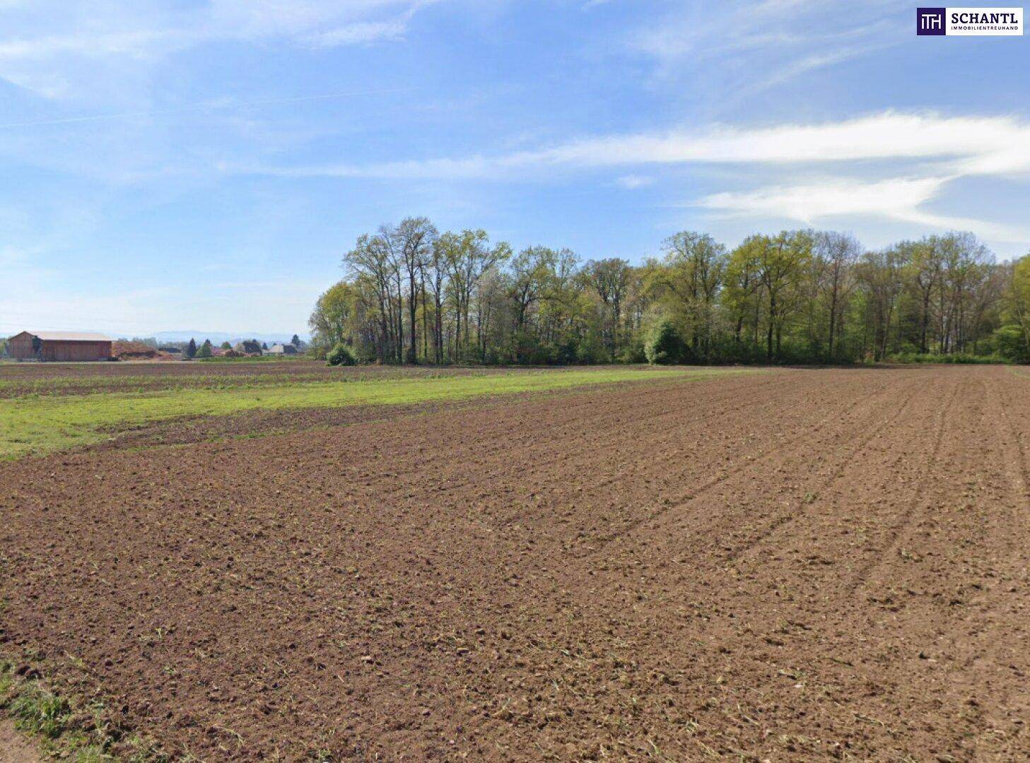 Ackerland mit brauner Erde und grünen Feldern unter blauem Himmel, umgeben von Bäumen und einem Gebäude in der Ferne.