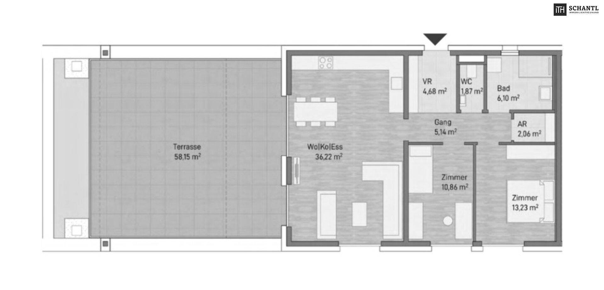 Grundriss einer Wohnung mit großzügiger Terrasse, offenem Wohnbereich und zwei Zimmern.