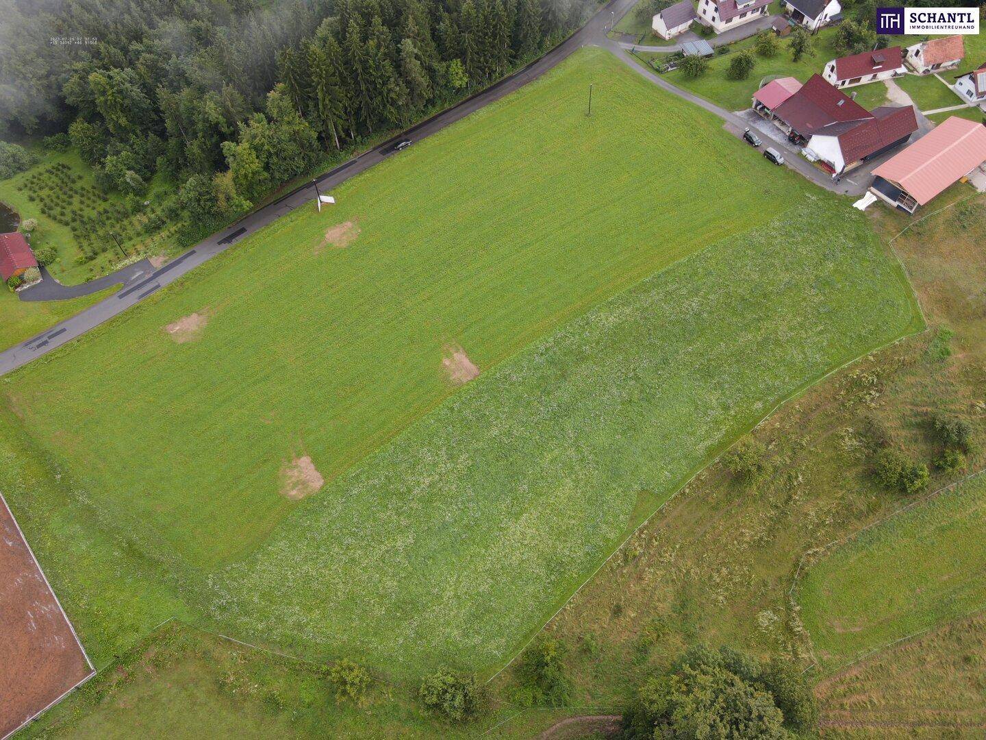 Luftaufnahme eines grünen Feldes mit einigen trockenen Stellen, umgeben von Wald und Häusern.