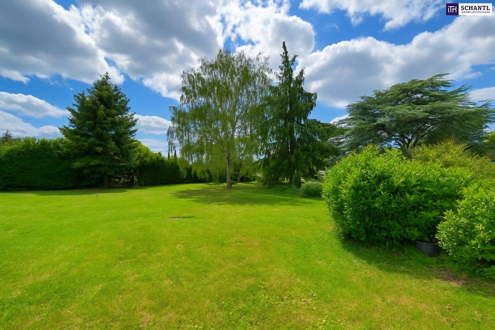 Weitläufiger, gepflegter Garten mit großem Rasen und alten Bäumen unter blauem Himmel.