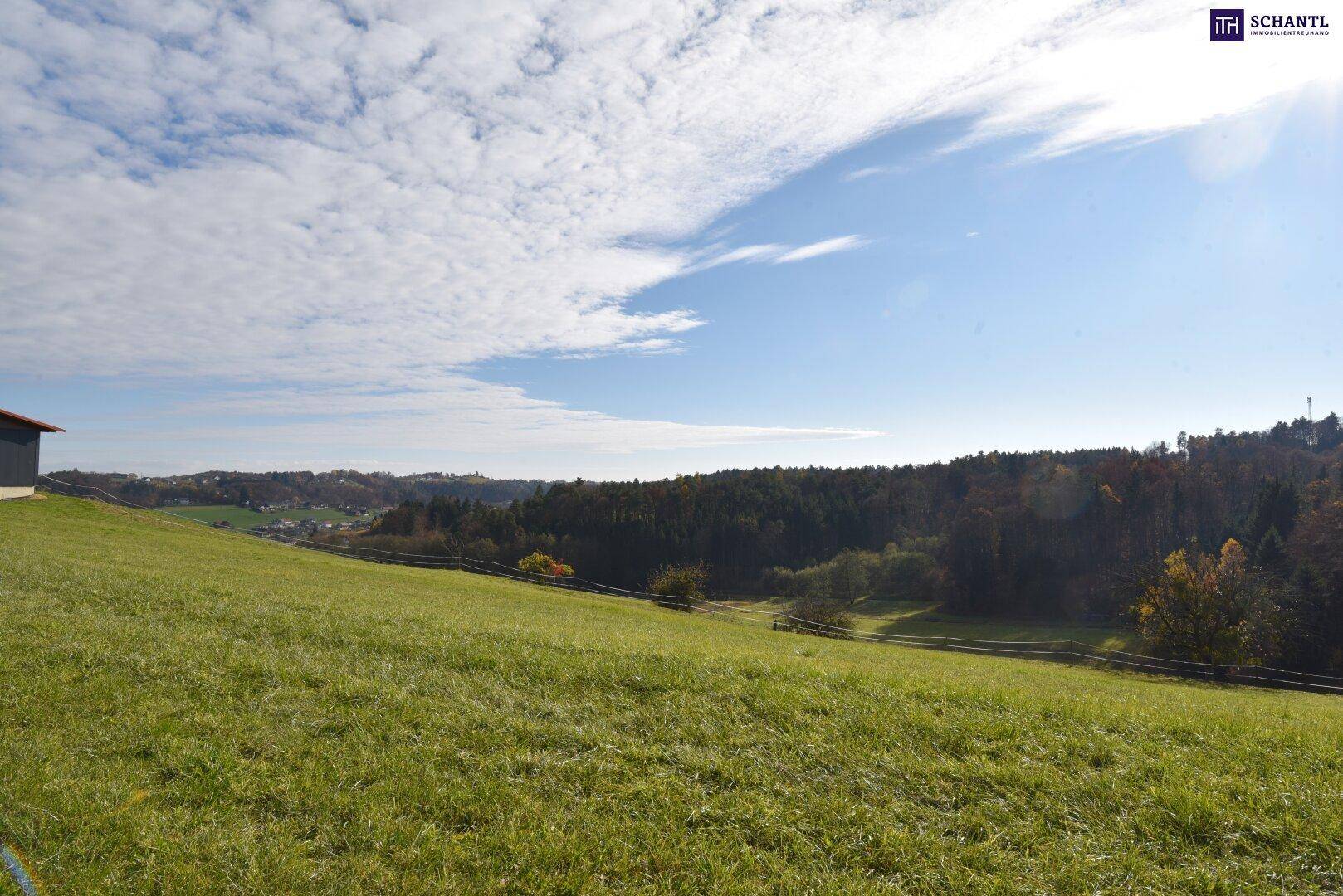 Sonnige Wiesenlandschaft mit weitem Blick über ein Tal und bewaldete Hügel.