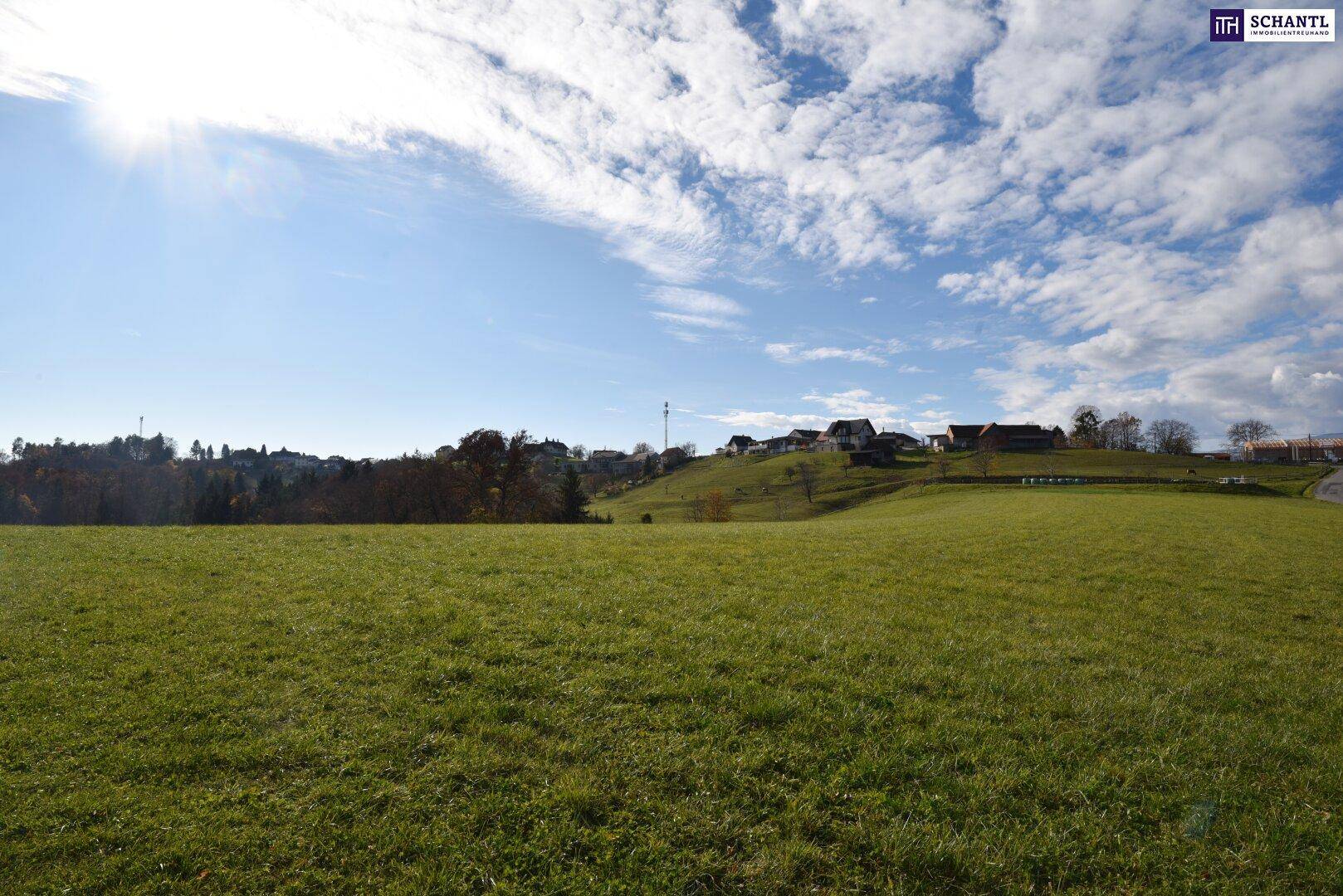 Sonnige Wiesenfläche mit weitem Blick auf eine ländliche Siedlung am Horizont.