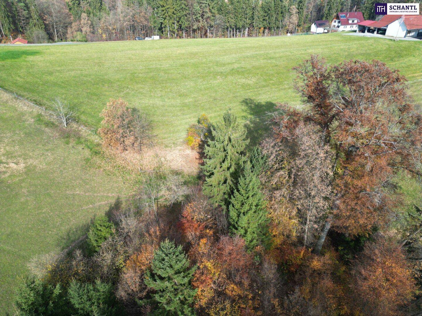 Luftaufnahme einer abwechslungsreichen Landschaft mit grünen Wiesen und herbstlich gefärbten Bäumen.