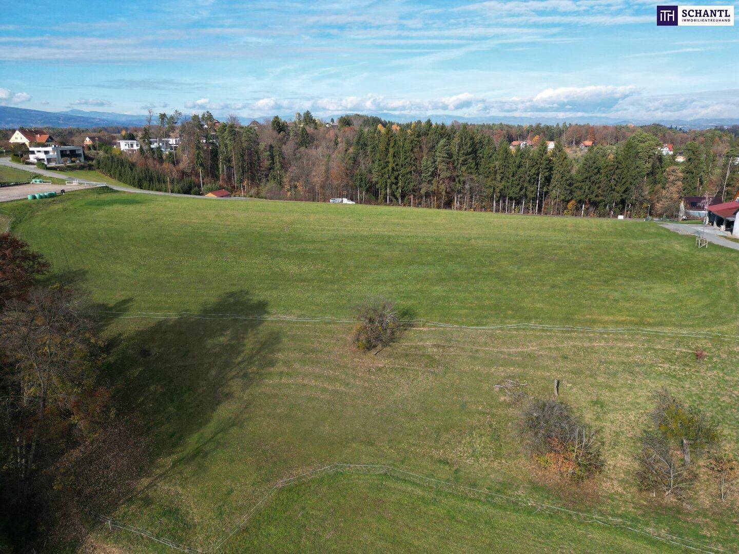 Weitläufige grüne Wiesenfläche aus der Vogelperspektive mit Häusern und Wald in der Ferne.