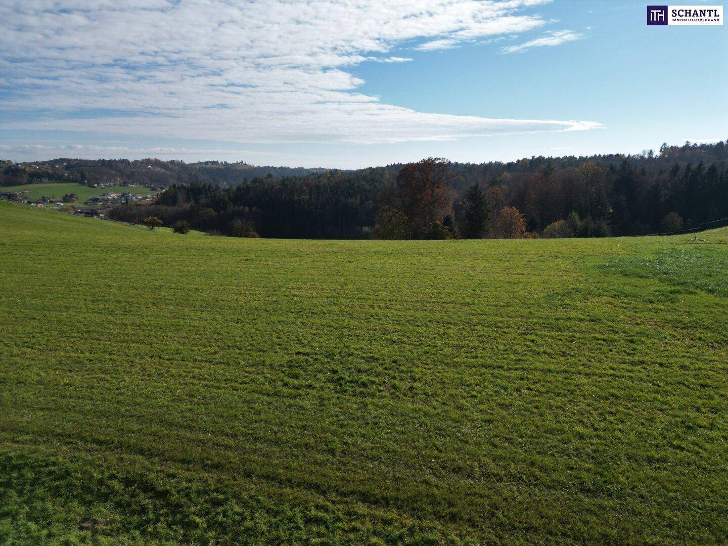 Ausgedehnte grüne Wiesenlandschaft unter einem bewölkten Himmel mit einem Wald am Horizont.