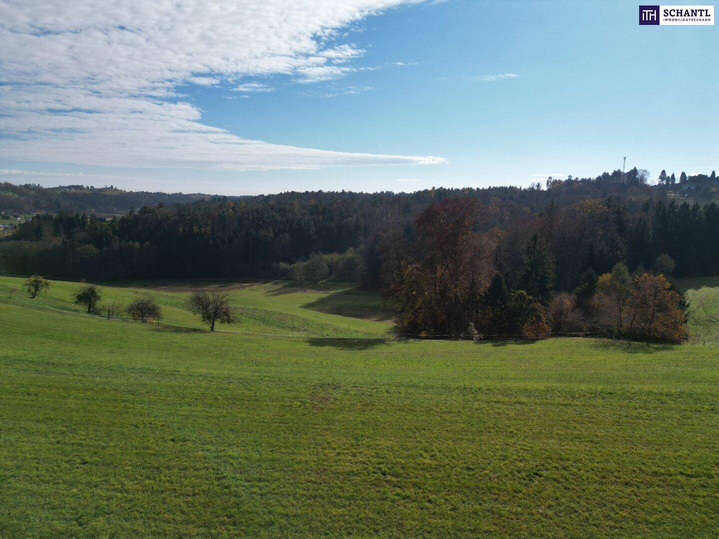 Weite grüne Wiesen erstrecken sich bis zu einem bewaldeten Hügelzug unter blauem Himmel.