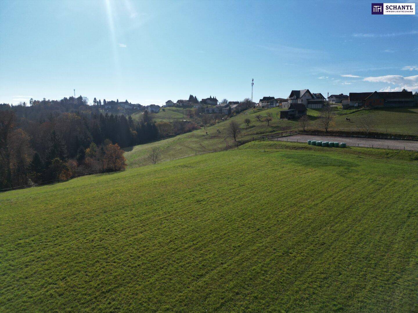 Sonnige Wiesenlandschaft mit weitem Blick auf eine ländliche Siedlung am Horizont.