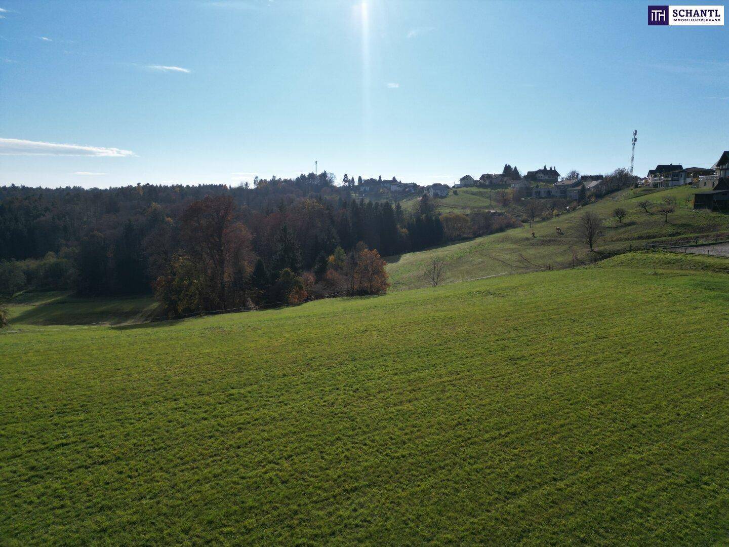Sonnige Wiesenlandschaft mit weitem Blick auf eine ländliche Siedlung am Horizont.