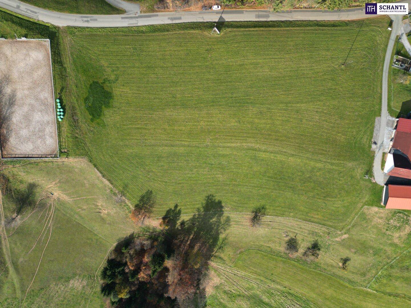 Luftaufnahme eines grünen Feldes mit angrenzender Straße, Gebäuden und einer Reitanlage.
