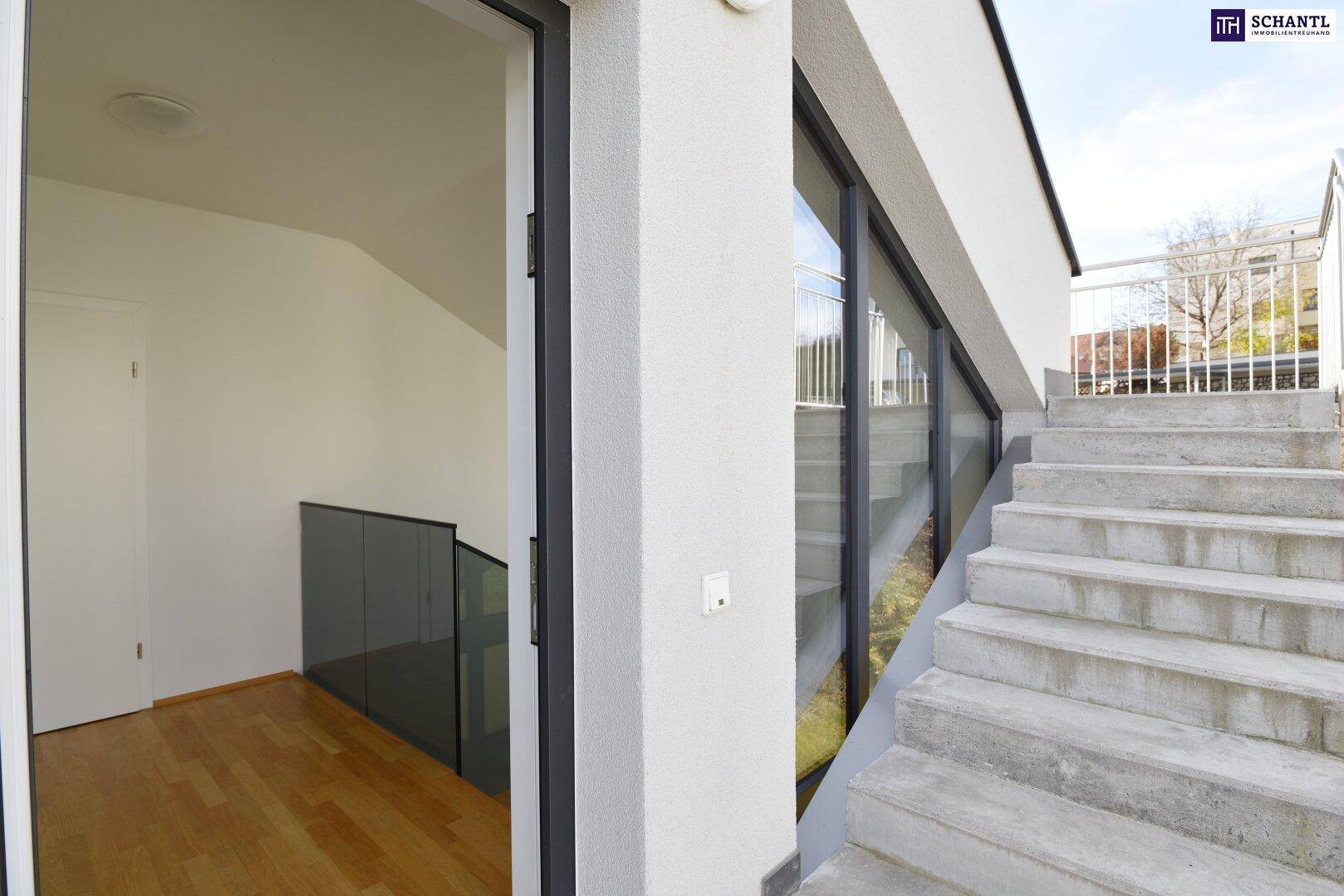 Außentreppe führt zum Eingangsbereich mit großen Glasflächen und modernem Design.