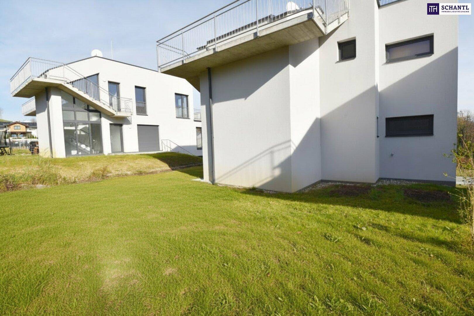 Gepflegte Rasenfläche um das moderne Gebäude mit klaren Linien und großen Fenstern.