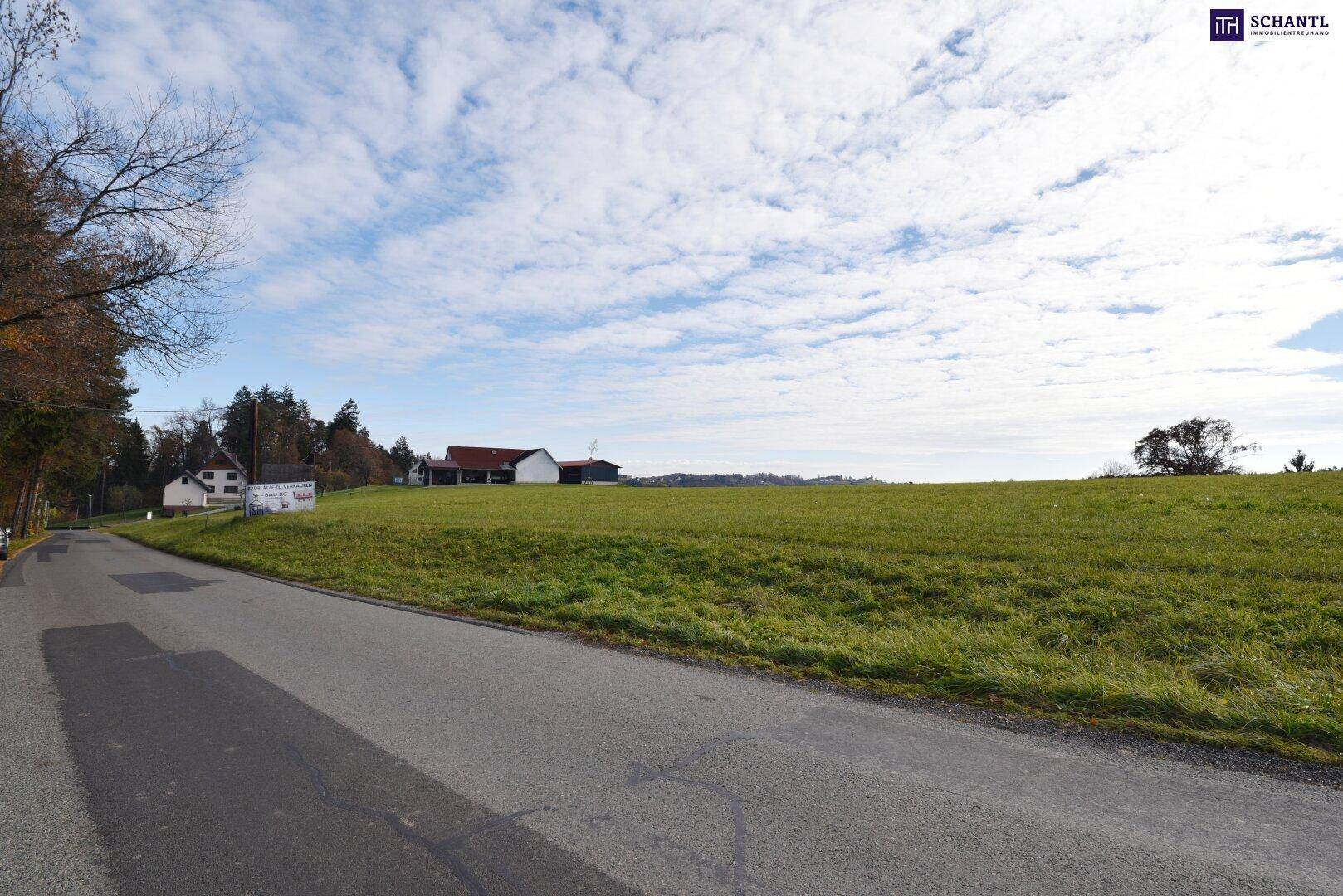 Großes grünes Grundstück neben einer Landstraße mit Blick auf die umliegende Natur und entfernte Gebäude.