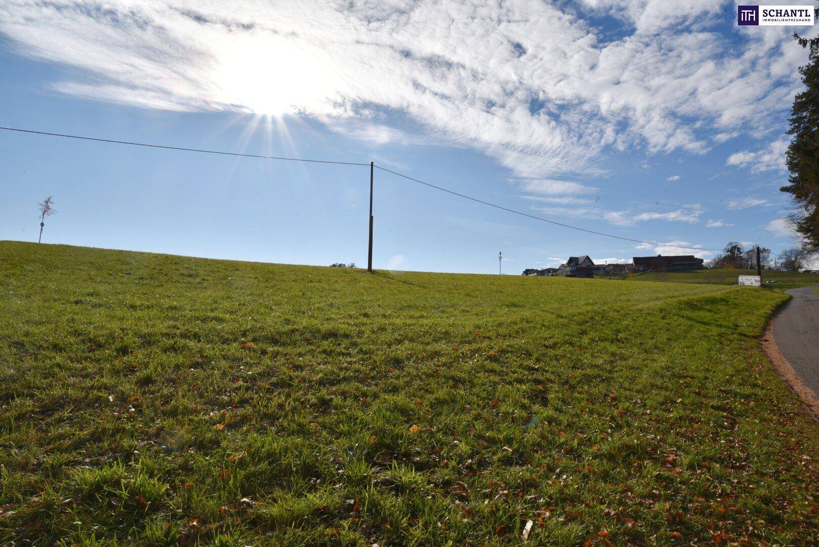 Sonniges grünes Feld mit leichtem Anstieg und Blick auf den blauen Himmel mit einigen Wolken.