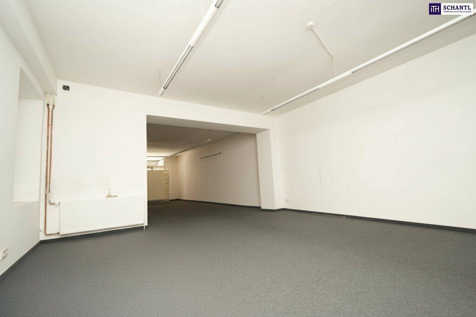 Großer, leerstehender Raum mit Teppichboden und einfacher Deckenbeleuchtung, ideal für gewerbliche Nutzung oder Lagerung.