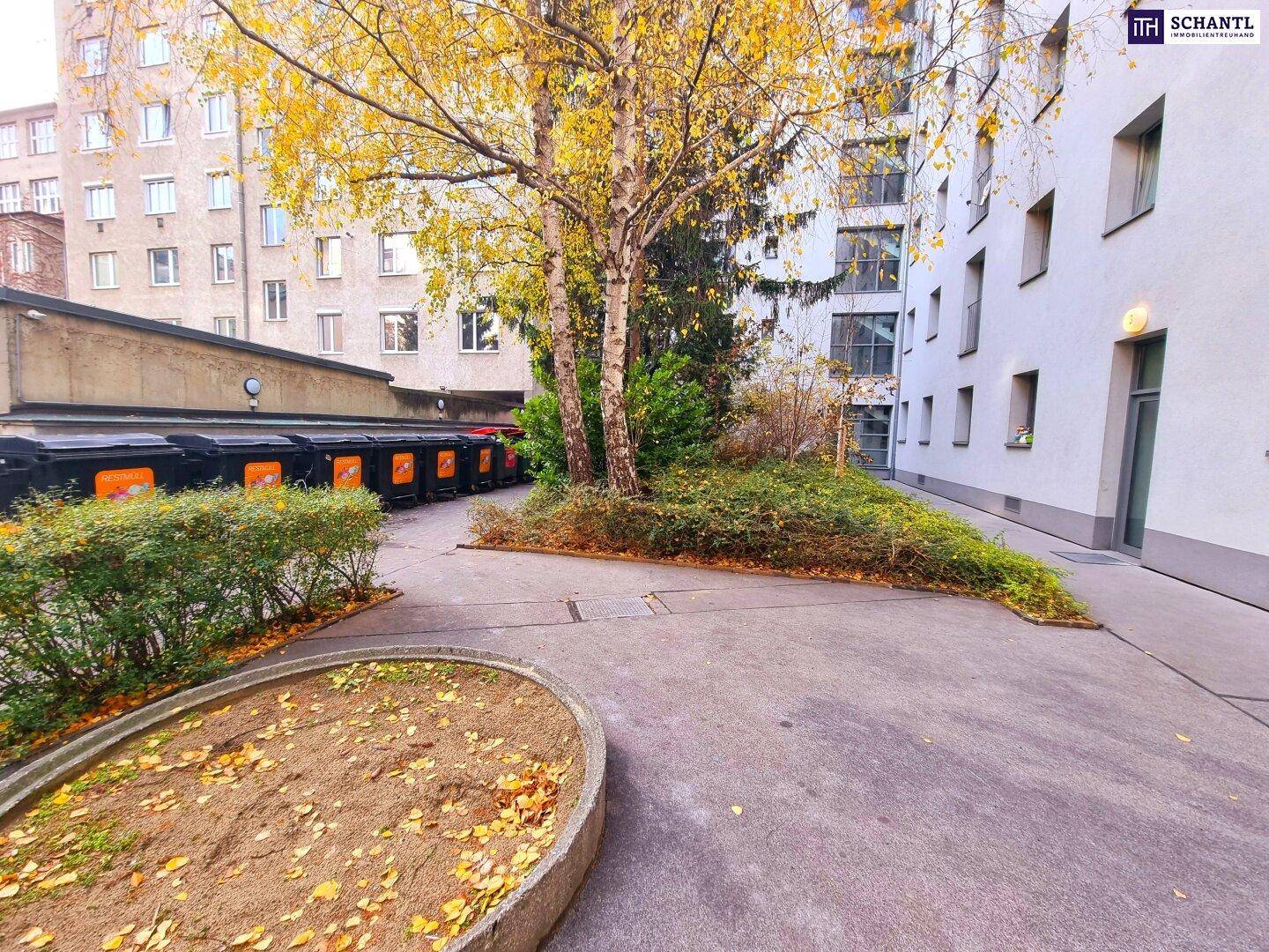Außenbereich mit Bäumen, Sträuchern und Müllcontainern zwischen Wohngebäuden.